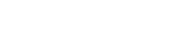 Medisolv